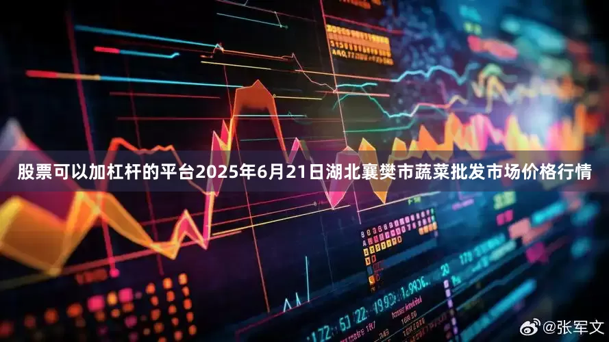 股票可以加杠杆的平台2025年6月21日湖北襄樊市蔬菜批发市场价格行情