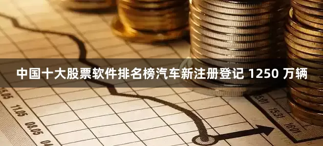 中国十大股票软件排名榜汽车新注册登记 1250 万辆