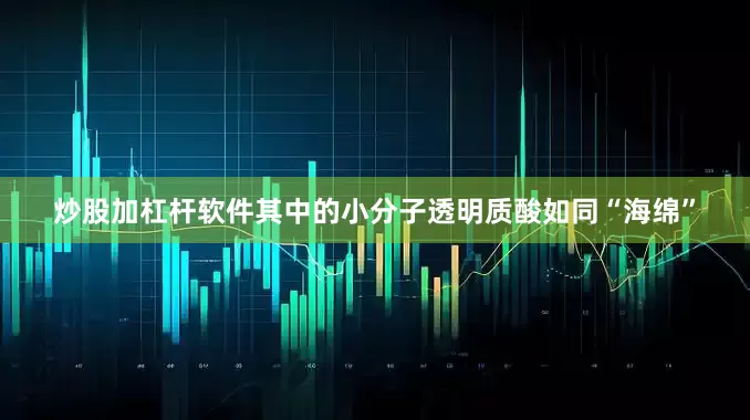 炒股加杠杆软件其中的小分子透明质酸如同“海绵”